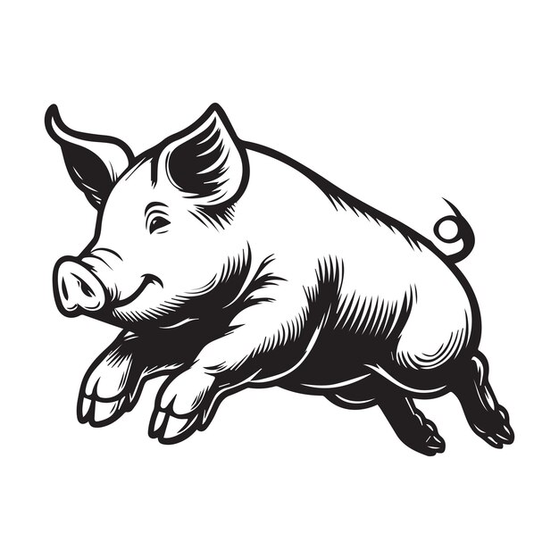 Pig outline Clipart hog vector illustration in black and white