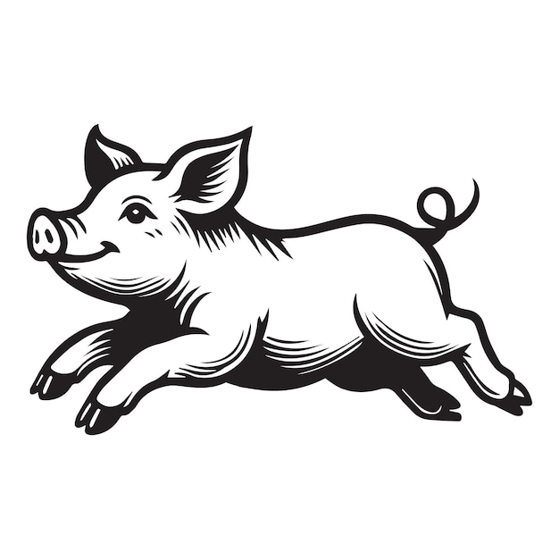 Pig outline Clipart hog vector illustration in black and white