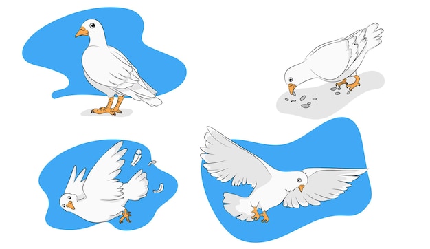 Pigeon in 4 action vector illustration