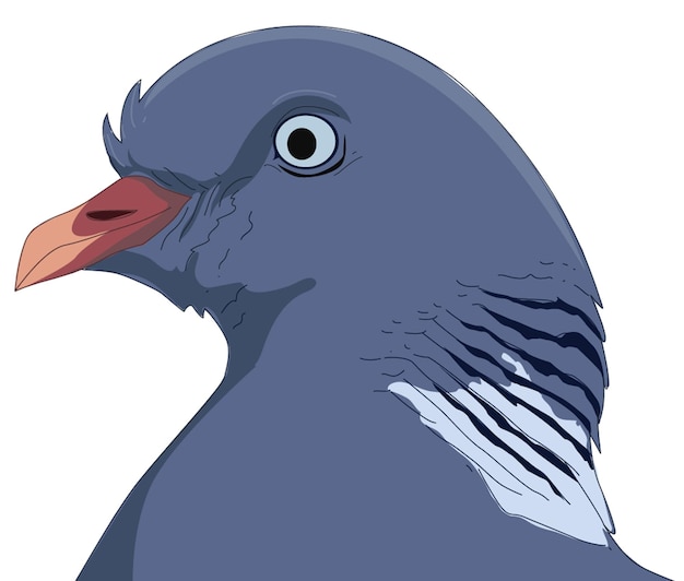 Pigeon beak