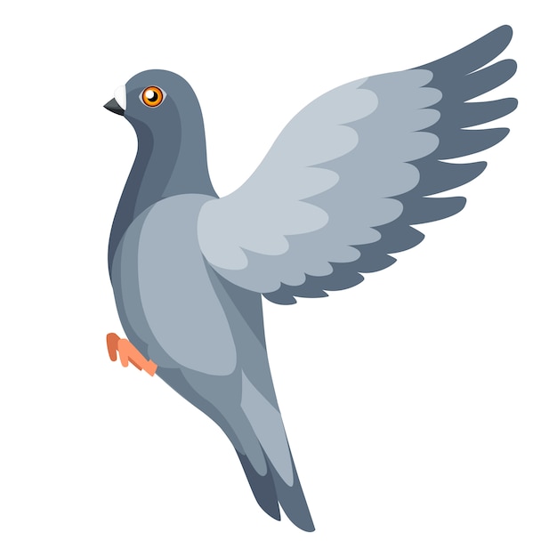 Pigeon bird flying, pigeon flaps its wings. Flat cartoon character design. Colorful bird icon. Cute pigeon template. illustration isolated on white background.