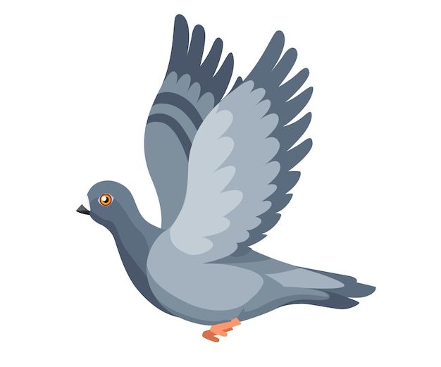 Pigeon bird flying, pigeon flaps its wings. Flat cartoon character design. Colorful bird icon. Cute pigeon template. illustration isolated on white background.