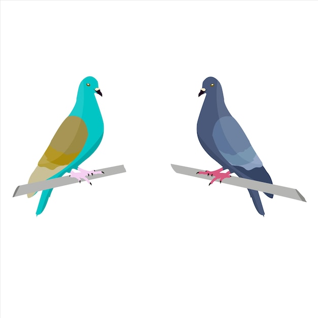 Pigeon cartoon vector illustration set on white background wild animal