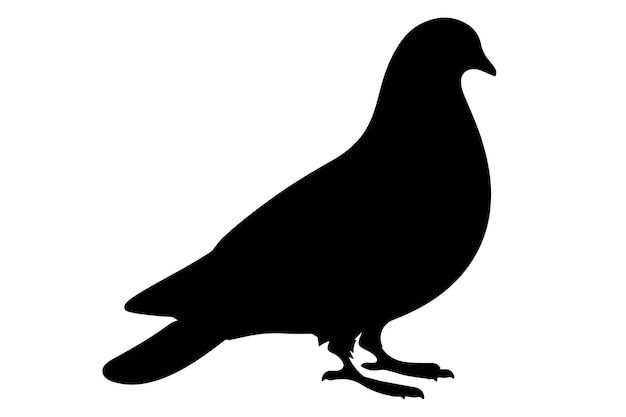 pigeon vector Hand drawn silhouette illustration