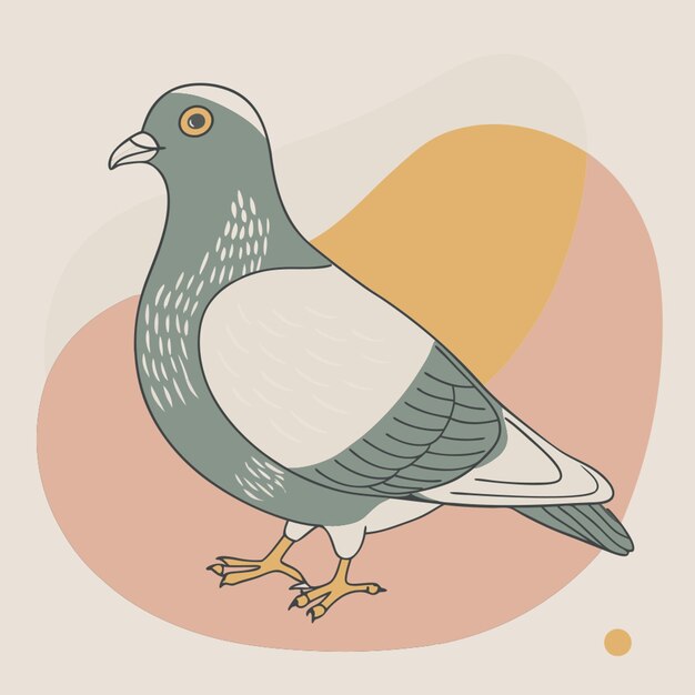 Vector pigeon vector illustration line circuit