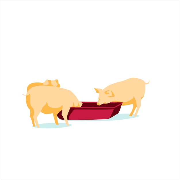 Pigs feeding agricultural animals breeding Livestock agricultural industry Farm animals breeding Eco farming rural hennery and agriculture concept flat vector illustration on white background