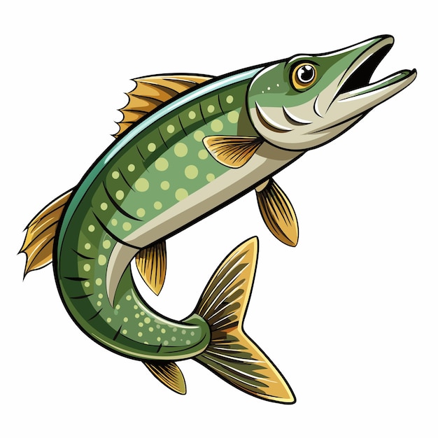 Pike fish Vector Art Illustration