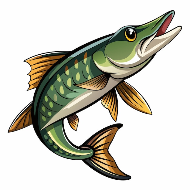 Vector pike fish vector art illustration