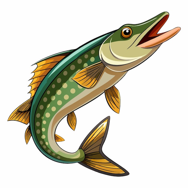 Vector pike fish vector art illustration