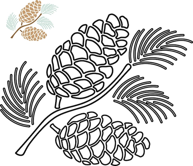 Pine cone with black outline