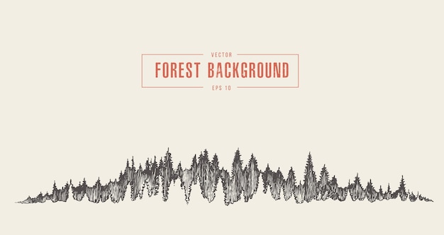 Pine forest background, vector illustration, hand drawn, sketch