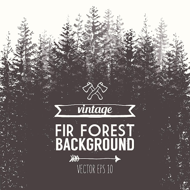 Pine forest design template, hand drawn vector illustration