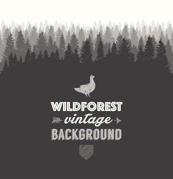 Pine forest design template, hand drawn vector illustration