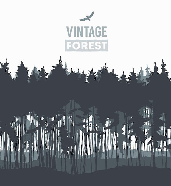 Pine forest design templates, vector illustration