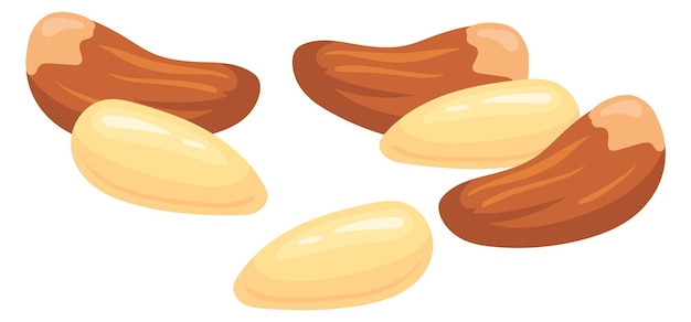 Pine nut cartoon icon Raw healthy natural seeds