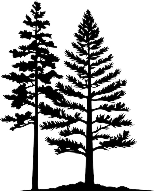 a pine tree vector black color silhouette isolated white background