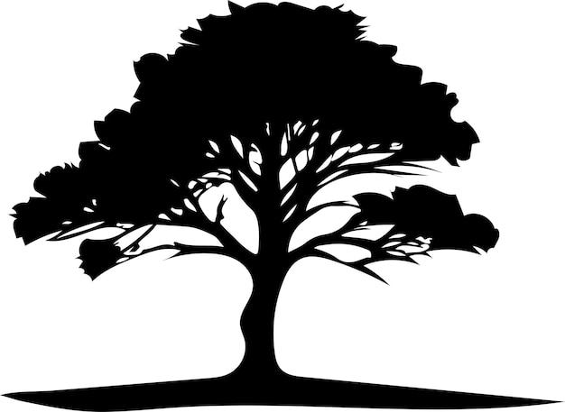 a pine tree vector black color silhouette isolated white background