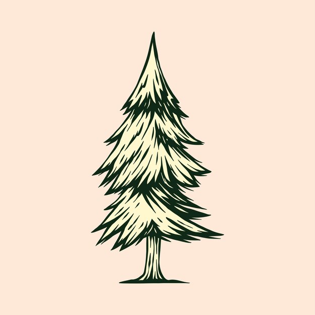 pine tree vector illustration