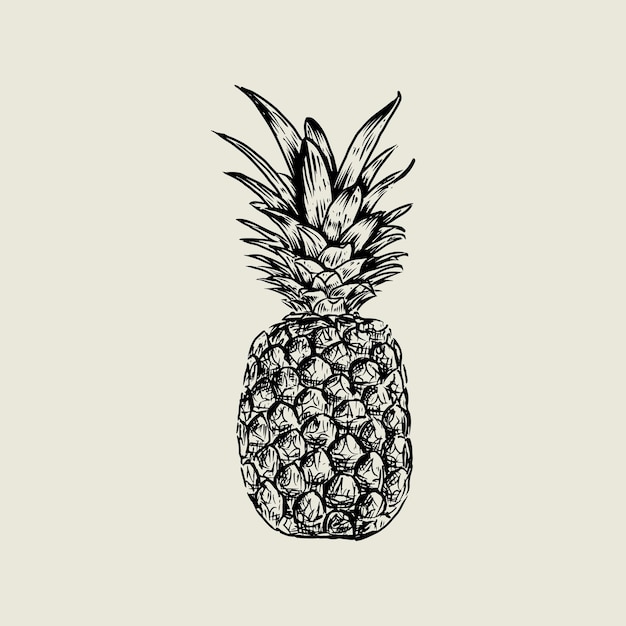 Vector pineapple drawing with vintage style