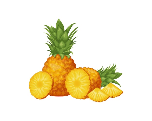 Pineapple image of pineapple cut into pieces pieces of ripe pineapple sweet tropical fruit vector il