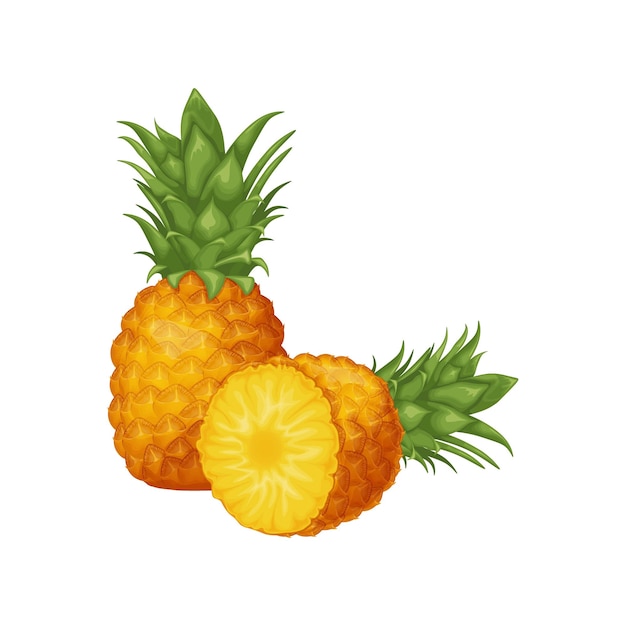 Pineapple Image of pineapple cut into pieces Pieces of ripe pineapple Sweet tropical fruit Vector illustration