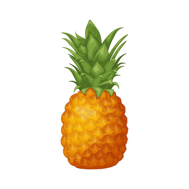 Pineapple Image of a ripe pineapple Juicy tropical fruit Vector illustration isolated on a white background