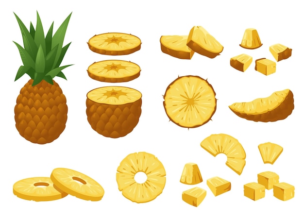 Pineapple set Tropical fresh whole and peeled fruit pieces cartoon natural sweet ripe ananas delicious raw snack Colorful vector isolated collection