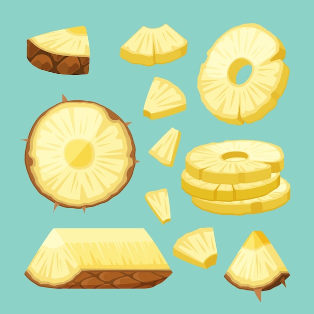 Pineapple sliced juicy fruit pineapples pieces vector colored healthy natural food