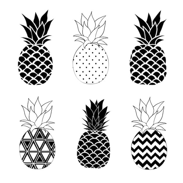 Pineapple vector black and white three different outlines Vector Illustration