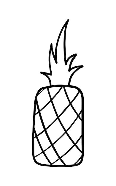 Vector pineapple with herbs tropical fruit harvest ingredient for eating doodle linear cartoon coloring