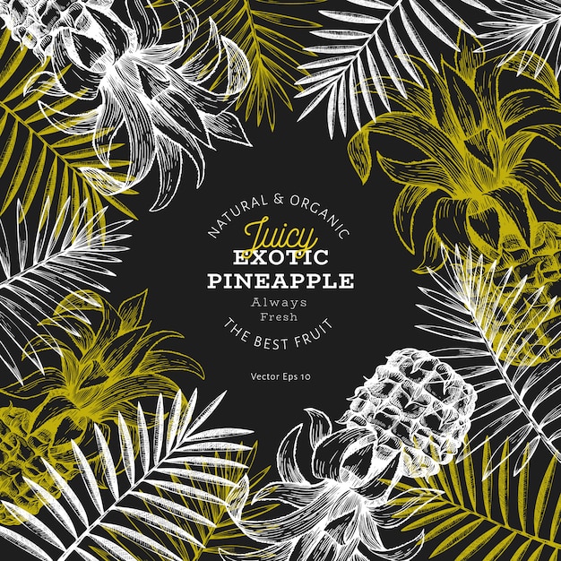 Pineapples and tropical leaves  template. Hand drawn  tropical fruit illustration on chalk board. Engraved style ananas fruit .