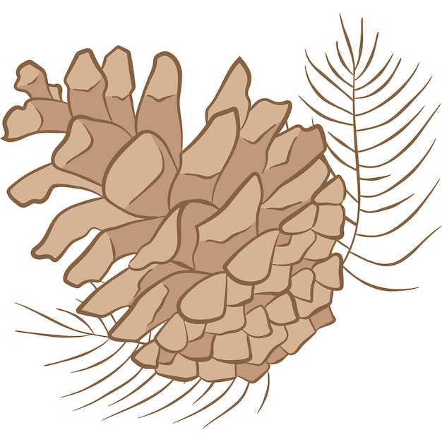 Pinecone Pine Cone