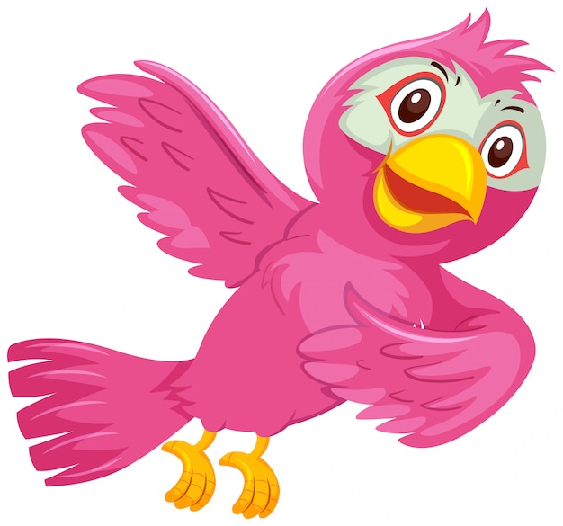 A pink bird on white background