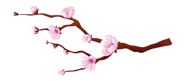 Vector pink bloosom tree. sakura branch. japanese cherry. vector illustration