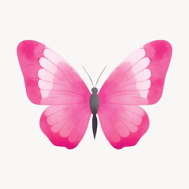 Vector pink butterfly illustration art