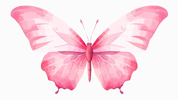 Pink Butterfly Isolated on White Background