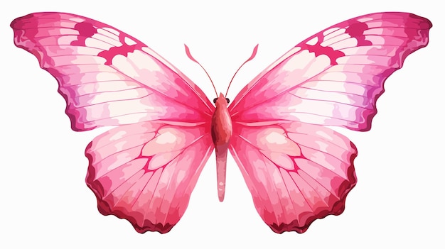 Pink Butterfly Isolated on White Background