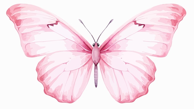 Pink Butterfly Isolated on White Background