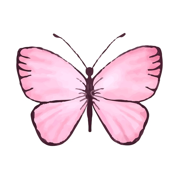 Vector a pink butterfly with black wings the butterfly is drawn in a very simple style the image is very cute and lighthearted vector isolate on white background