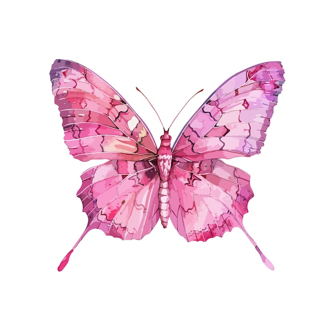 a pink butterfly with the word butterfly on the bottom