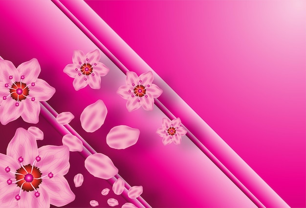 Pink Cherry blossom vector Illustration