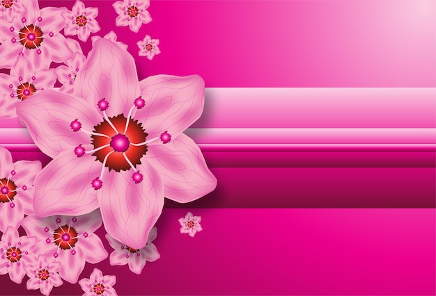 Pink Cherry blossom vector Illustration