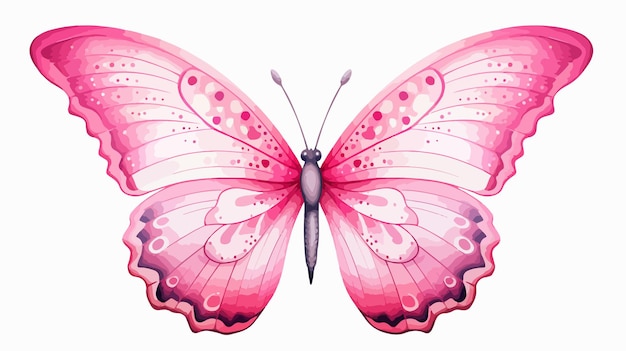 Pink Decorative Butterfly Isolated on White Background