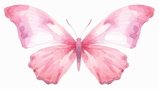 Pink Decorative Butterfly Isolated on White Background