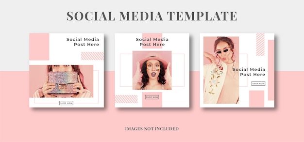 Pink feminine beauty social media instagram post fashion promotion advertisement template