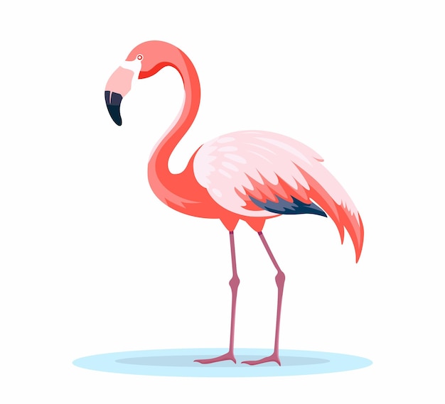 pink flamingo bird flat illustration