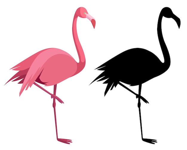 Pink flamingo Exotic tropical bird