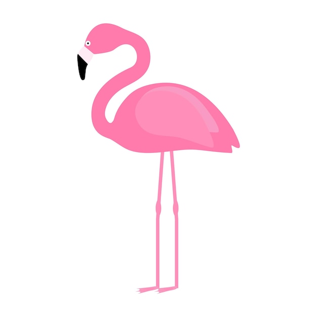 Pink flamingo isolated on white background Cartoon exotic bird clip art Flat vector illustration