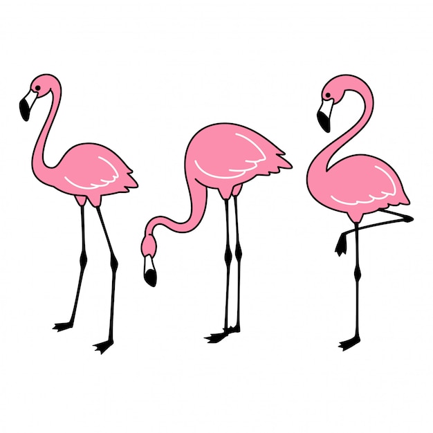 pink flamingo set