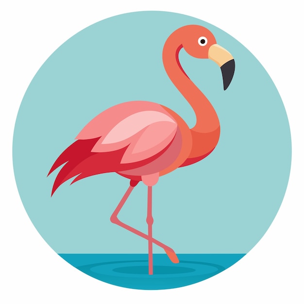 Vector pink flamingo standing in blue water